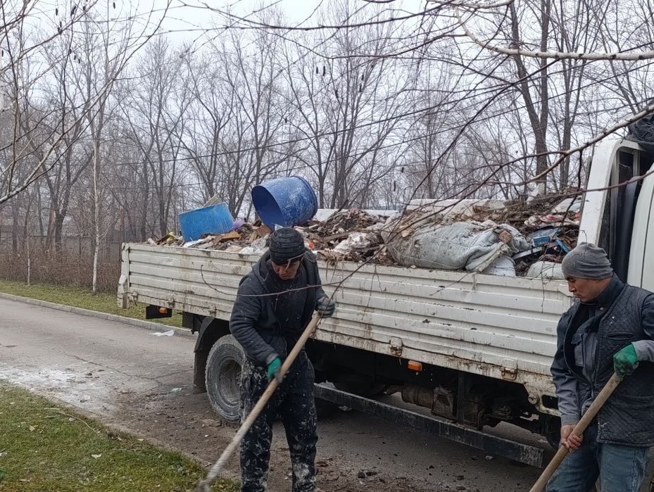 Вывоз мусора,доставка Спил деревьев