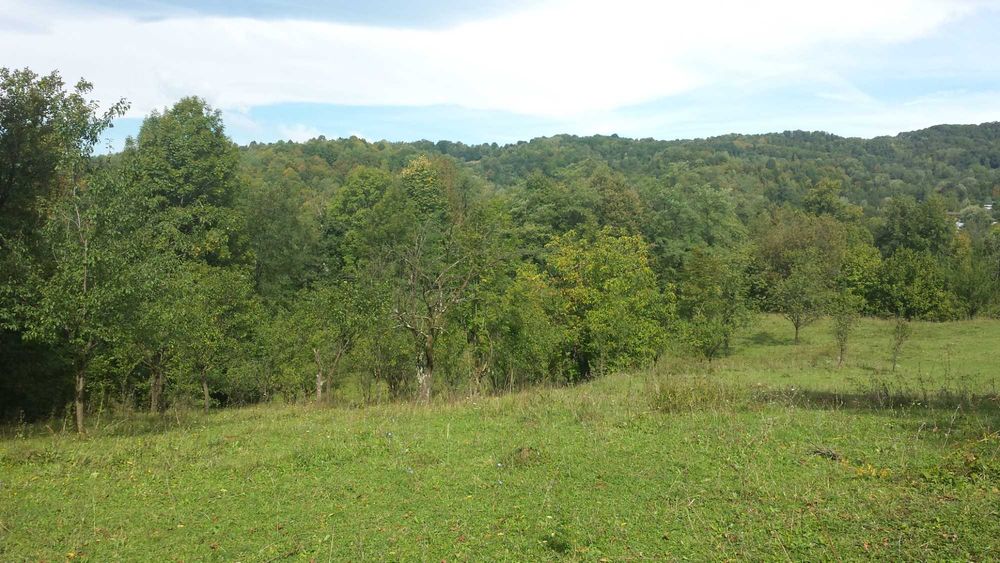 Teren intravilan Provita de jos(linga Breaza) PRAHOVA