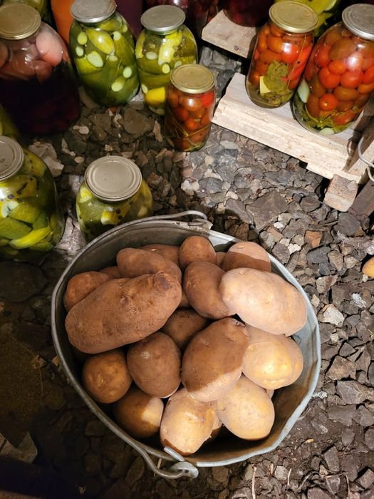 Продам картофель. Дачный