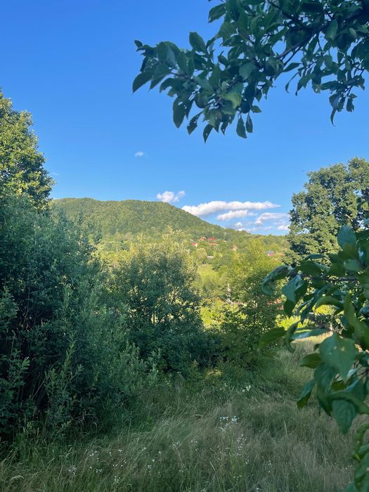 Teren intravilan de vânzare – 7.287 mp – Ibănești Pădure