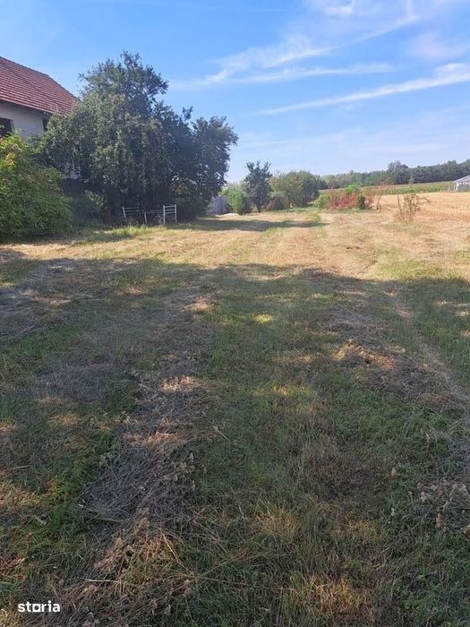 3 parcele de vanzare , zona Martinesti , 6 ARI parcela , 25.000 euro .