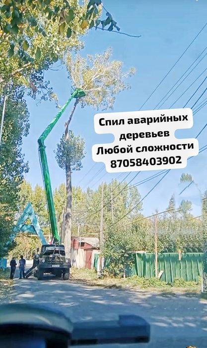 Пилим аварийные деревья