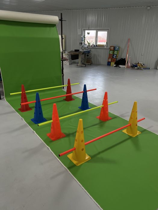 Набор из конусов и палочек