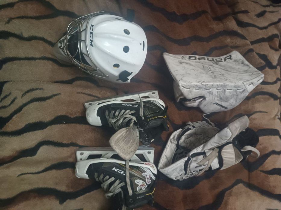 Хобби. Отдых и спорт