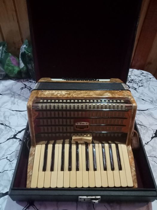 Acordeon Timiș - Select din anii '70