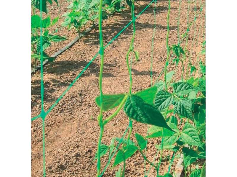 Мрежа за краставици