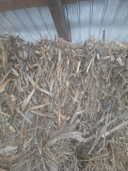 Vand baloti porumbiste si fan