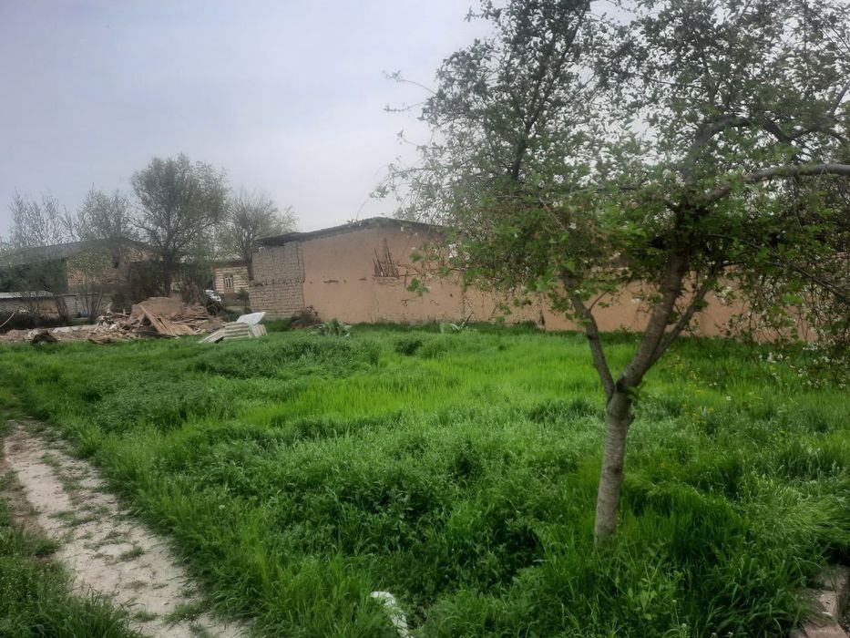 Ер срочно сотилади