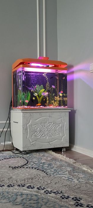 Аквариум для рыбы