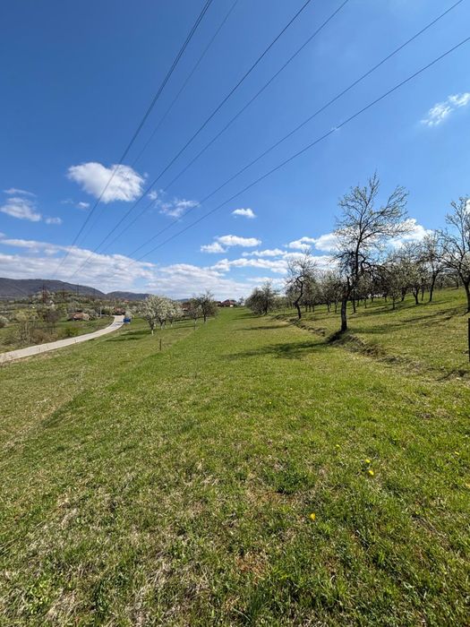 Terenuri Valisoara Hunedoara
