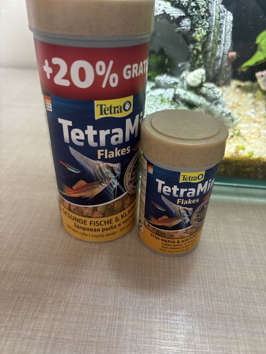 Acvariu cu pesti