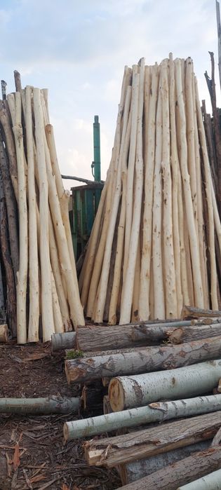 Tosin strapila corni reka taxtalar PILARAMA XIZMATI