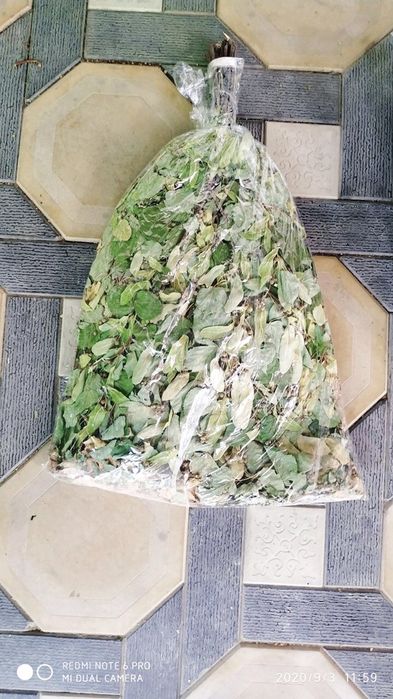 Веники- Дубовые, березовые и липовые; эфирные масла для бани и сауны