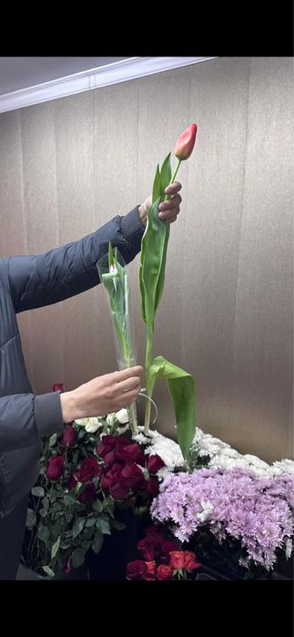 Тюльпаны метровые