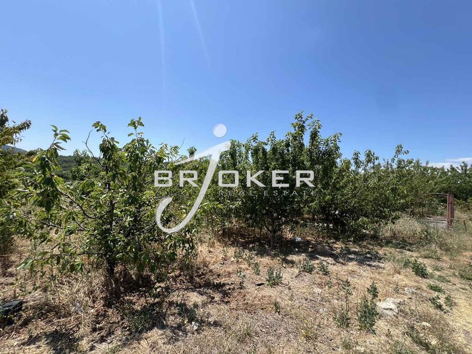 Парцел в Кърджали, област-с.Гъсково