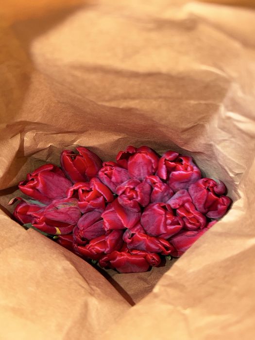 Тюльпаны на корпоратив