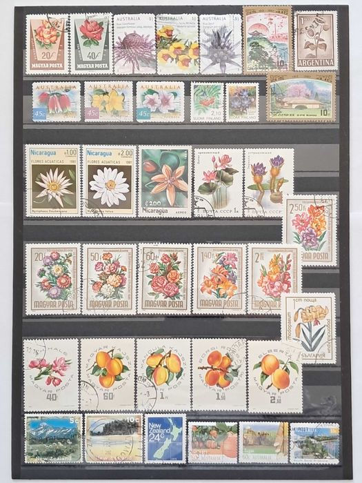 Пощенски марки тема ”Растения”.