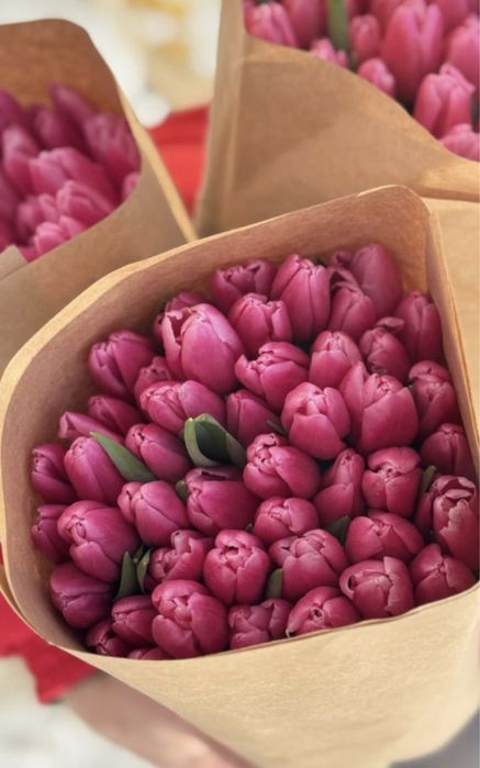 Голландские тюльпаны 50-60 см