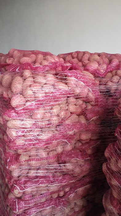 Cartofii extra ...calibru 60 plus.