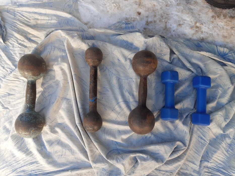 Гантели для спорта