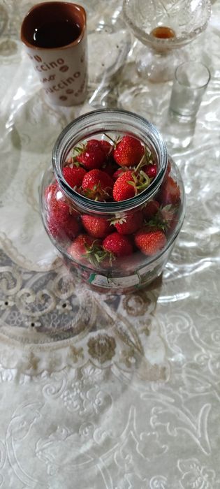 Клубника местная
