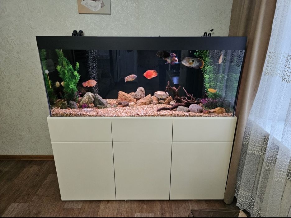 Продажа и ремонт аквариумов