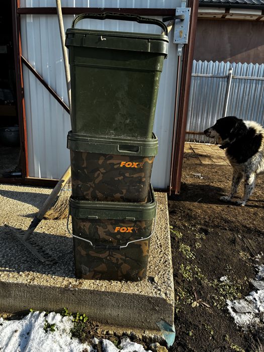 Galeti fox si ridgemonkey