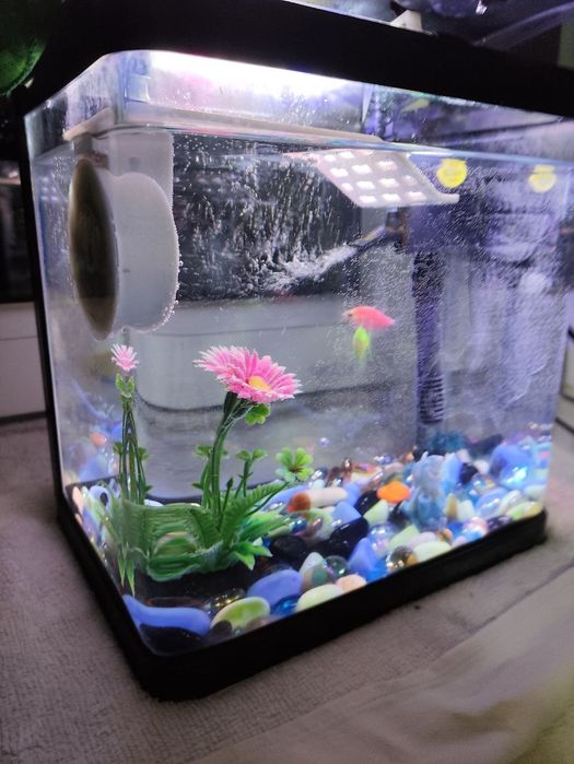 Продается аквариум , полные комплект