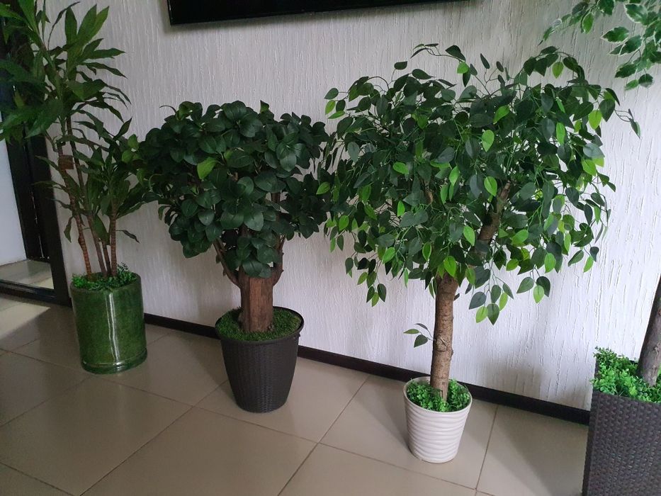 Продам искуственые деревья