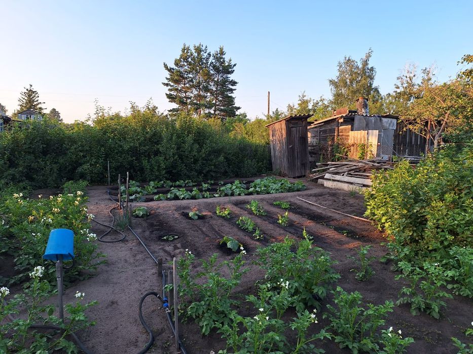 Продам дачу,  Затобольск автомобилист 26 Улица