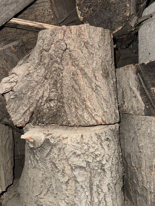 Продам пеньки спилу чурбаки