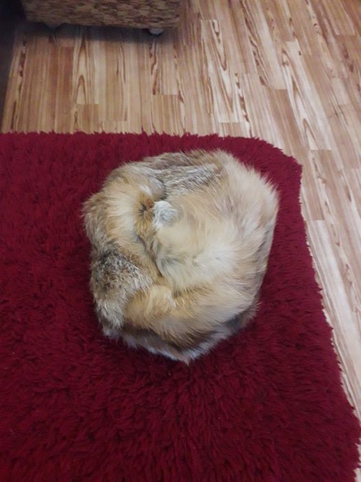 Дамска шапка от лисица