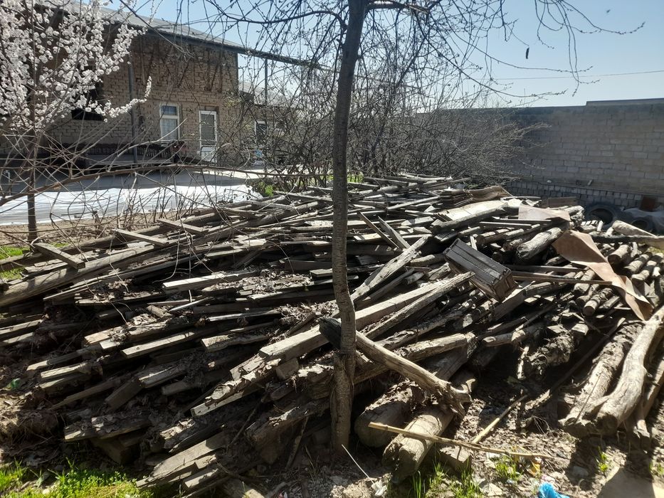 Отин ва ломбозга чорни тахтала бор сотилади.1та зилдан коп чорни тахта