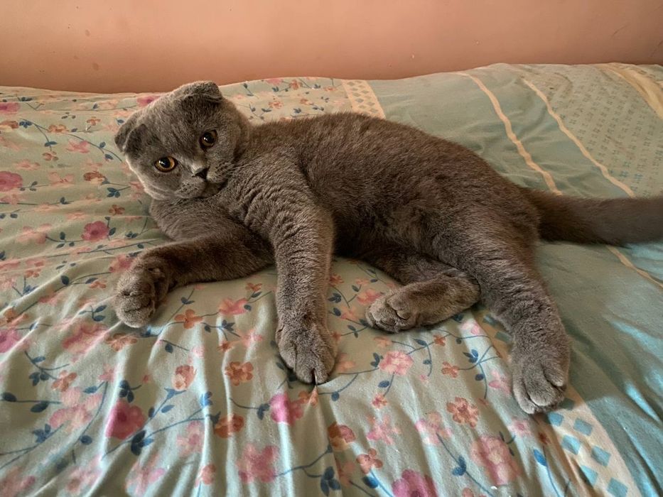 Sotilmaydi. VYAZKAGA