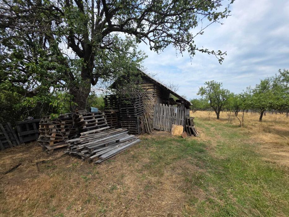 Teren intravilan Babana