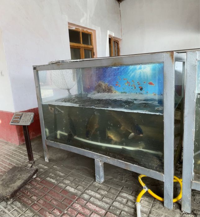 Akvariumlar sotiladi аквариум сотилади