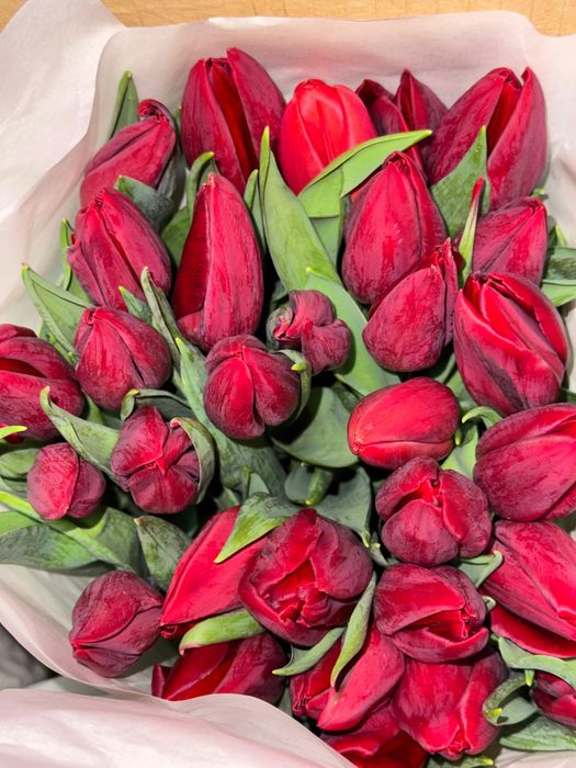 Тюльпаны оптом и в розницу