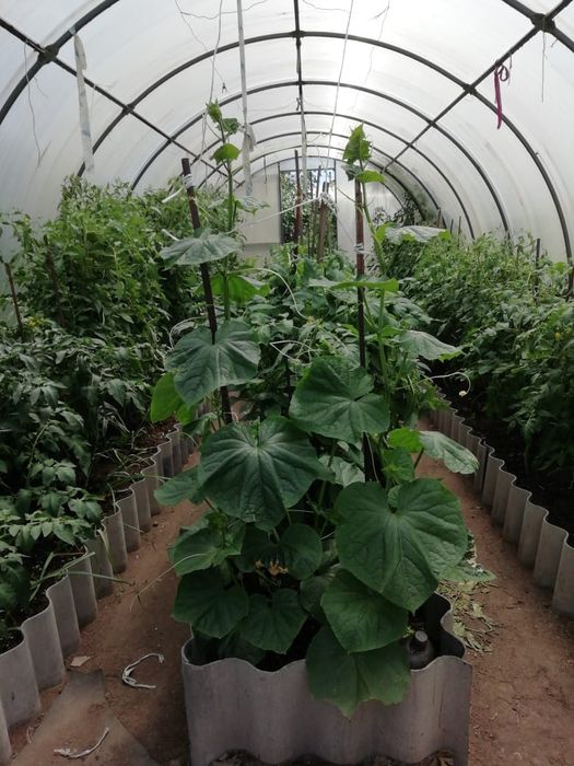 Продам дом кирпичный из качественного строй материалов