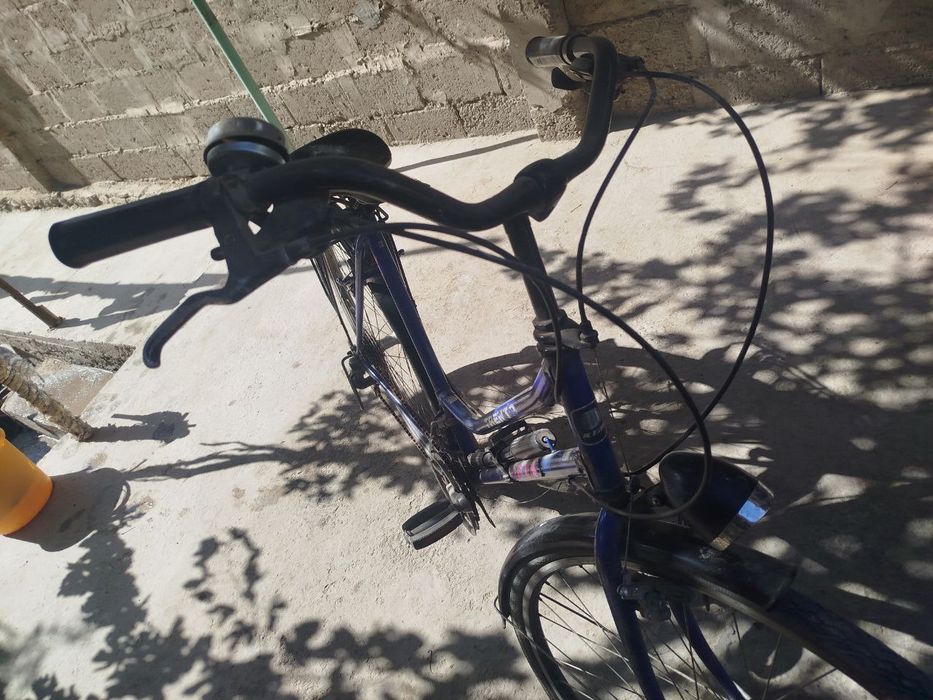 Велик сотилади Голландия