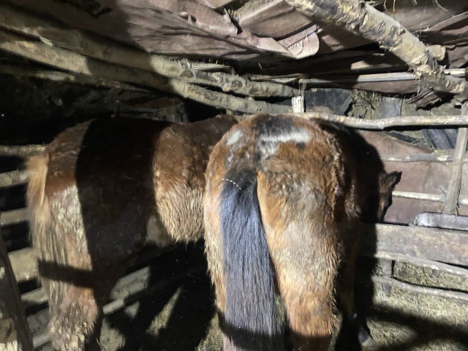 Продам 2-тай