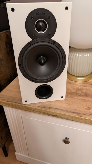 Boxe raft Indiana line Tesi 262