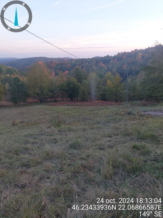 Vând 2.9 ha teren chisindia sat vasoaia/pret pe hectar