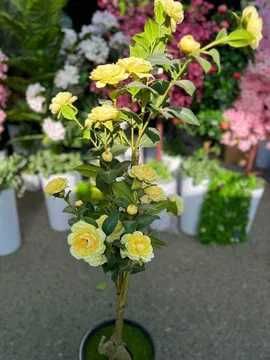 Декор дарахтлар офис ва ресторан учун