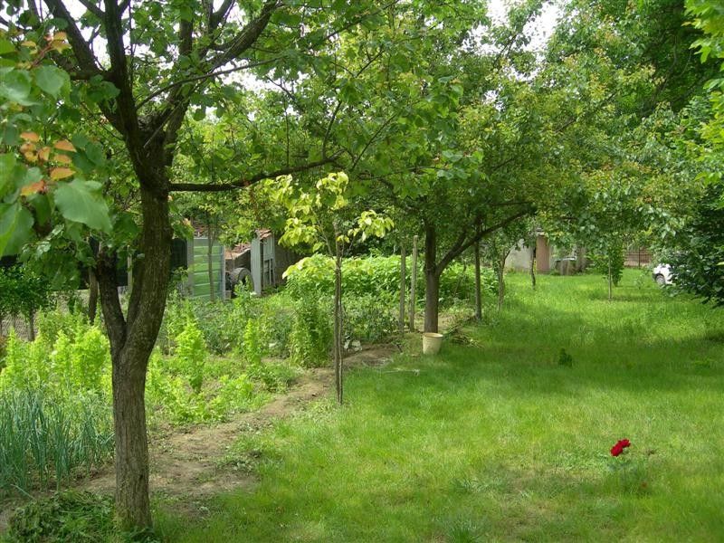 Продава се Къща в Долна Митрополия - 85 кв.м за 210 €/кв.м - Снимка #3