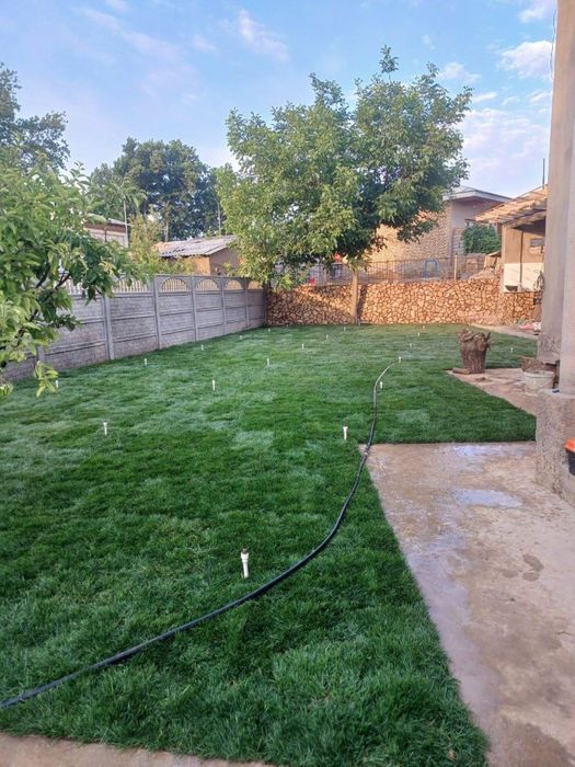 Yevro gazon yashil makon