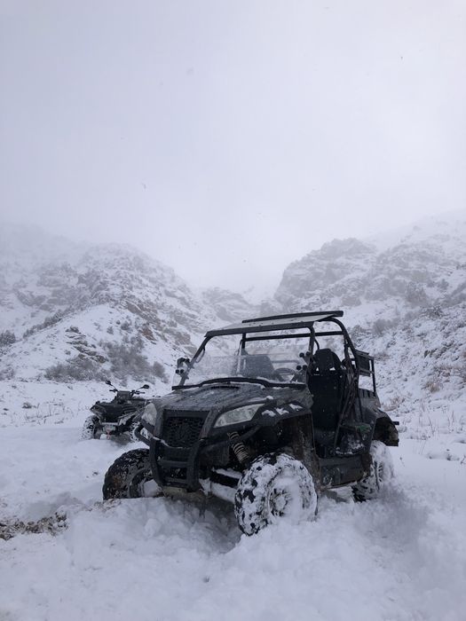 БАГГИ   RM. 800 UTV 4x4