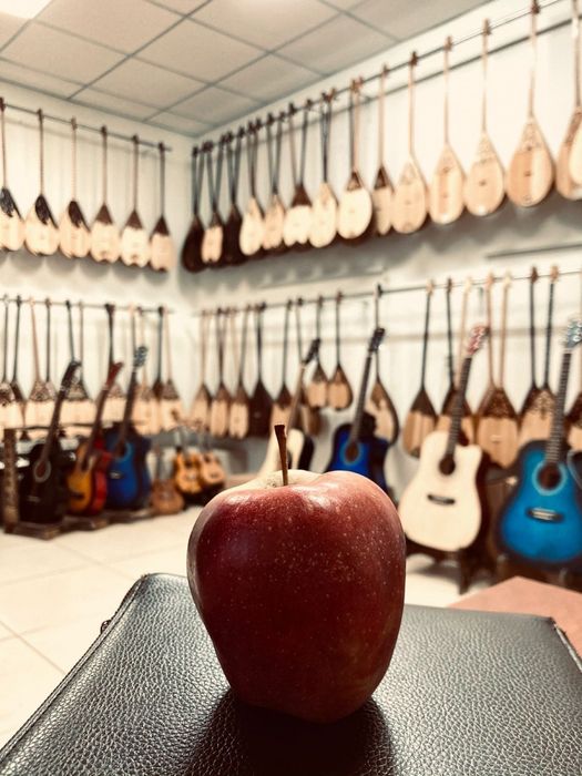 Домбыра/гитара.