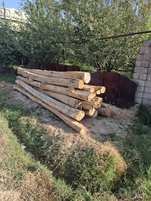 Тосин, тусин, To'sin, Tusin Terakniki sotiladi
