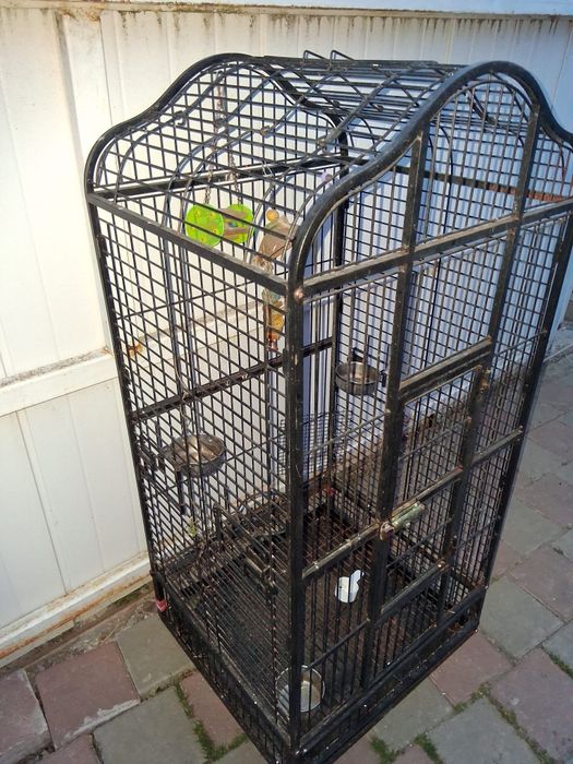 Colivie pentru pasari