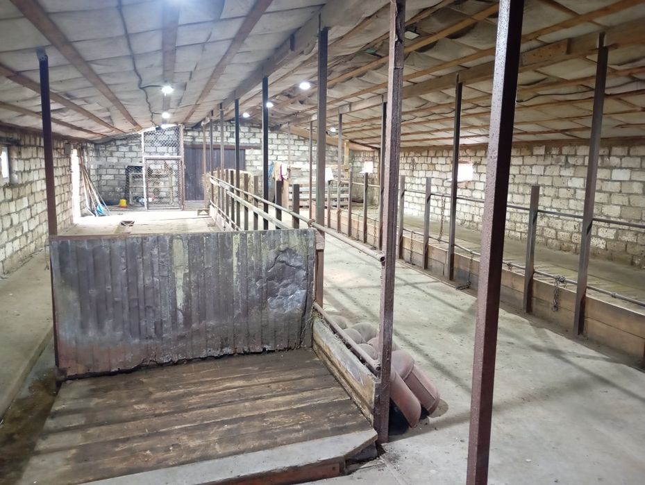 Продам дом с большим сараем срочно